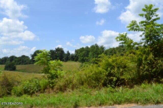 Lot 10 Rose Hill Ed Road Red Boiling Springs TN 37150