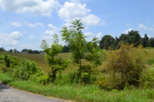 Lot 10 Rose Hill Ed Road Red Boiling Springs TN 37150