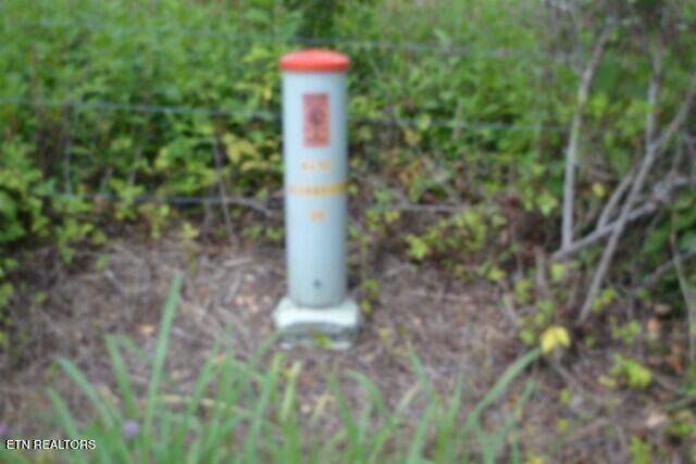 Lot 10 Rose Hill Ed Road Red Boiling Springs TN 37150