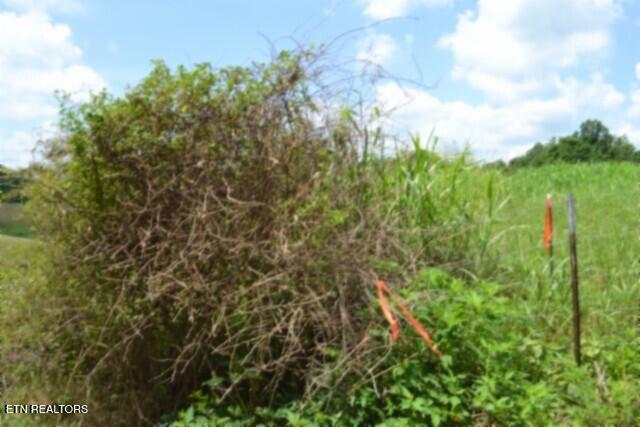 Lot 10 Rose Hill Ed Road Red Boiling Springs TN 37150