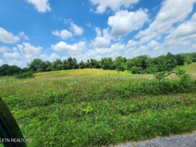 Lot 10 Rose Hill Ed Road Red Boiling Springs TN 37150