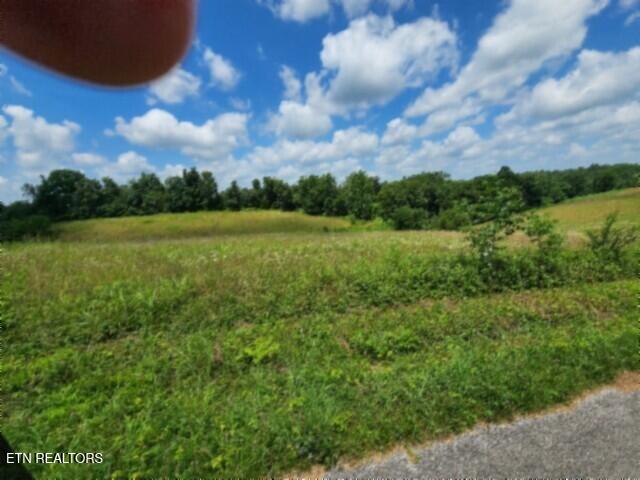 Lot 10 Rose Hill Ed Road Red Boiling Springs TN 37150