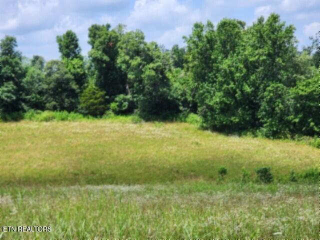 Lot 10 Rose Hill Ed Road Red Boiling Springs TN 37150