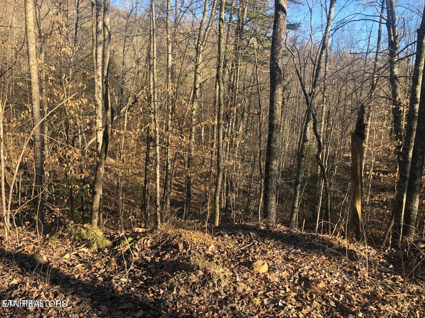 Lot 68 Yellowwood Drive Sevierville TN 37876