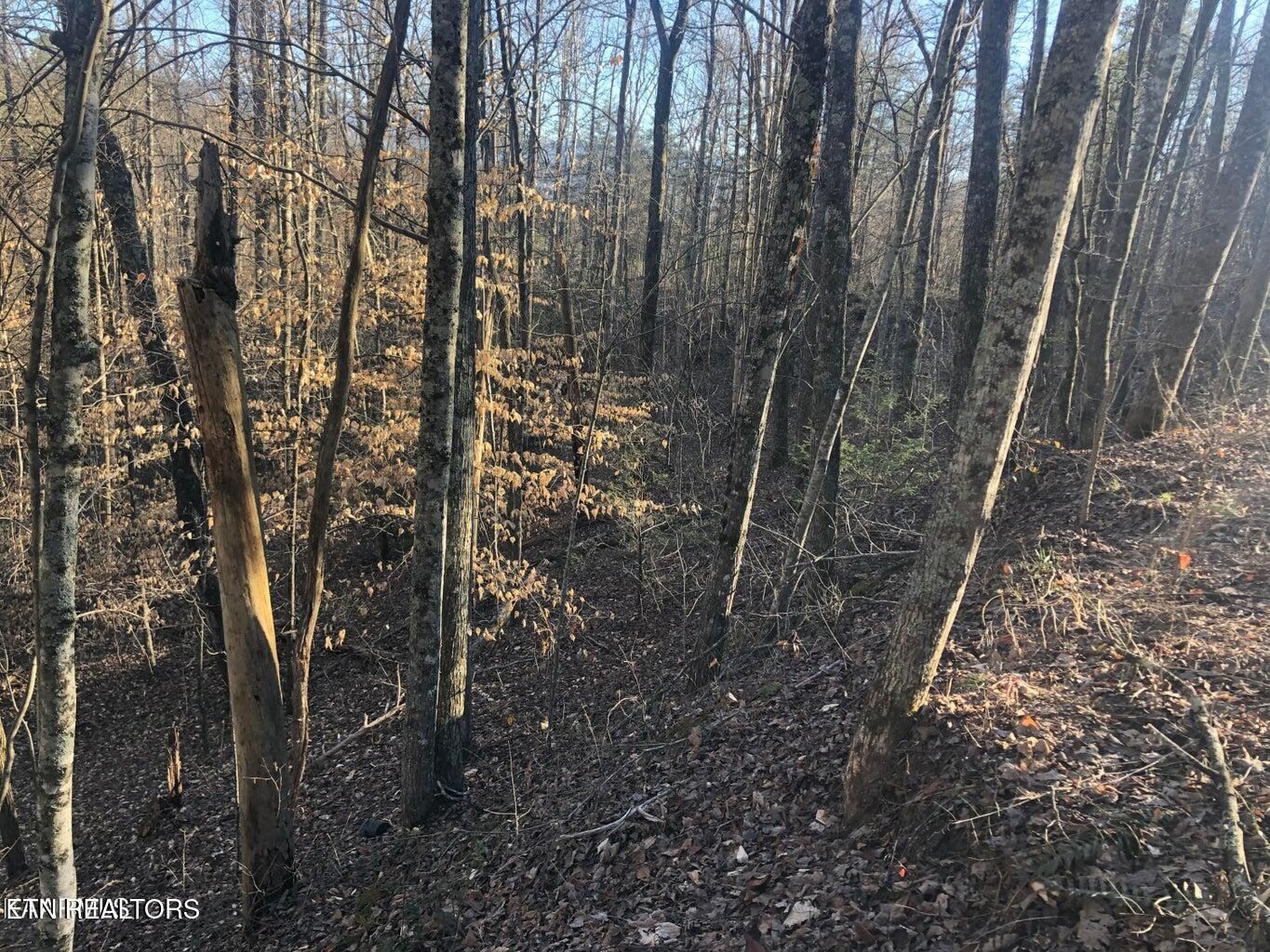 Lot 68 Yellowwood Drive Sevierville TN 37876