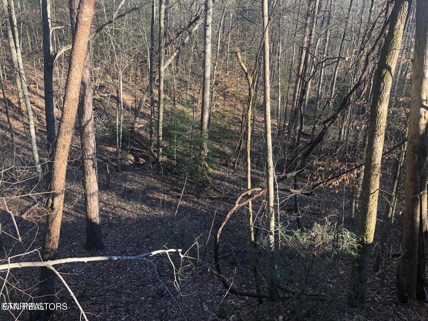 Lot 68 Yellowwood Drive Sevierville TN 37876
