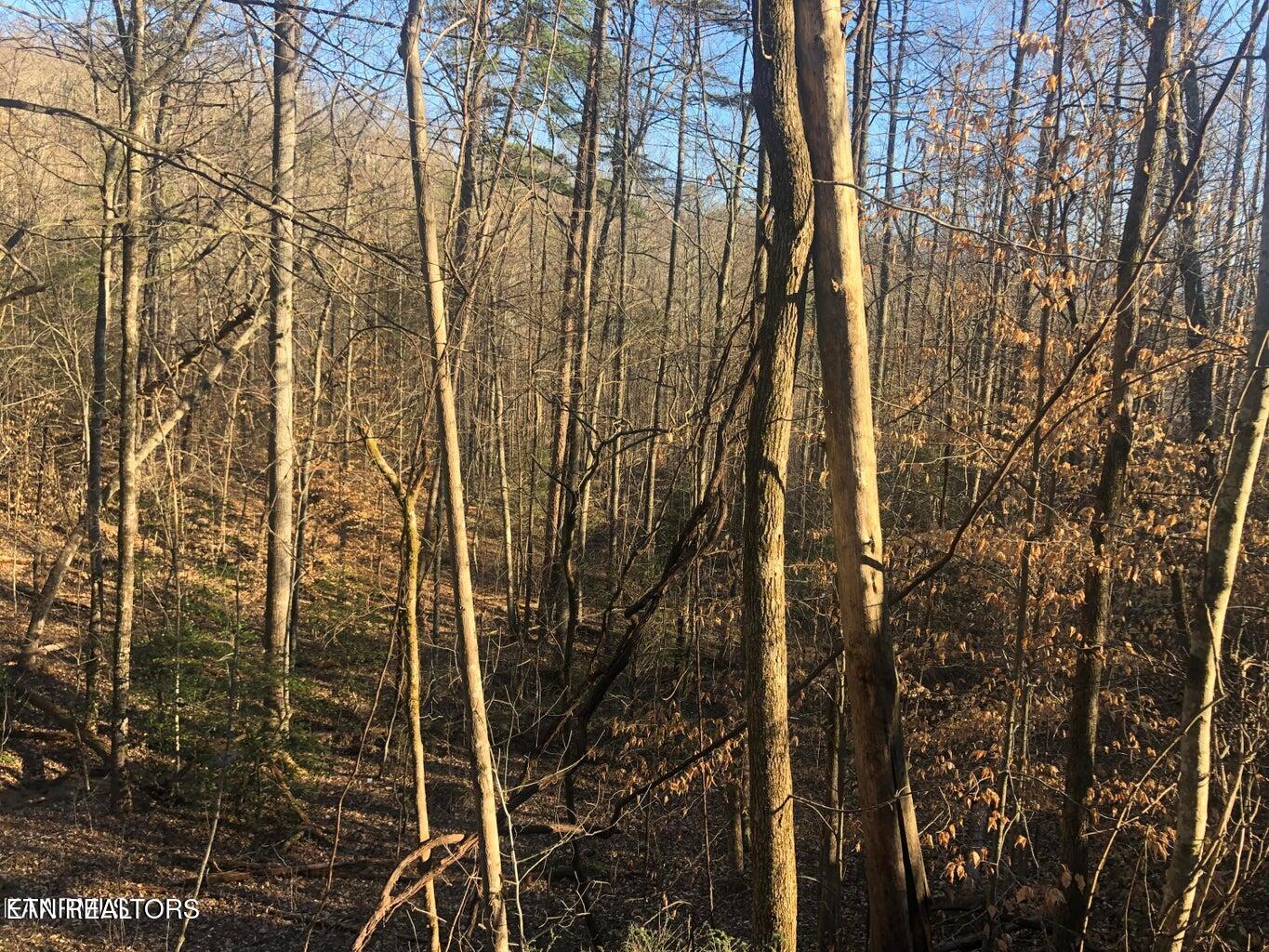 Lot 68 Yellowwood Drive Sevierville TN 37876