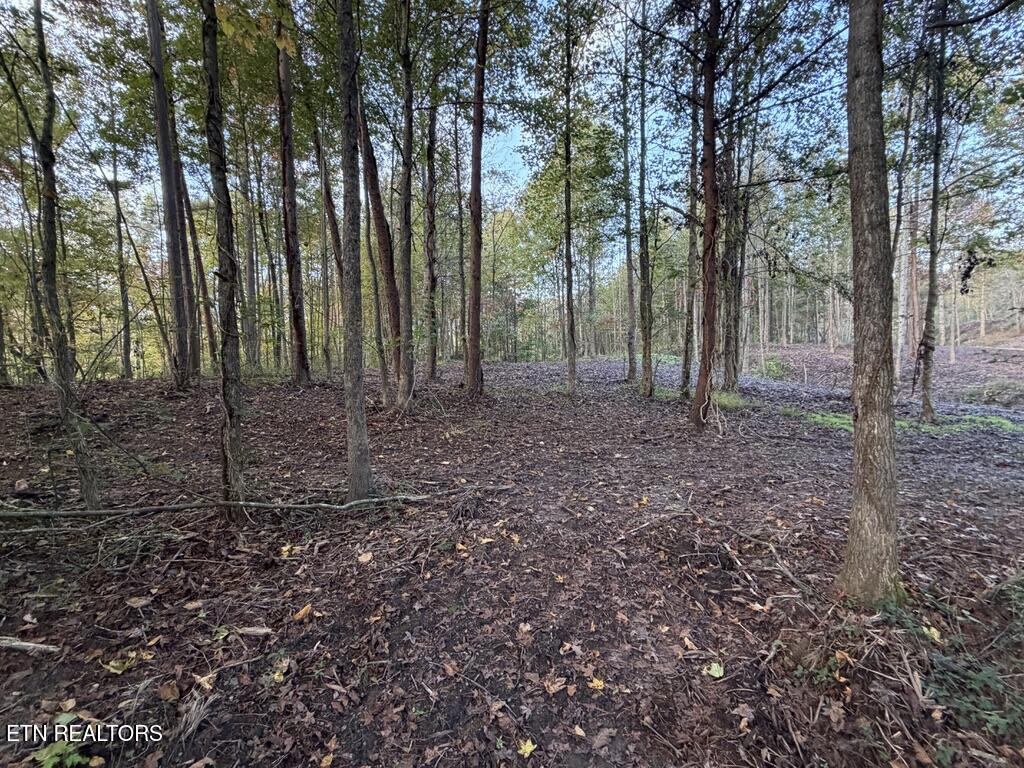 0 Sled Creek Road Duff TN 37729