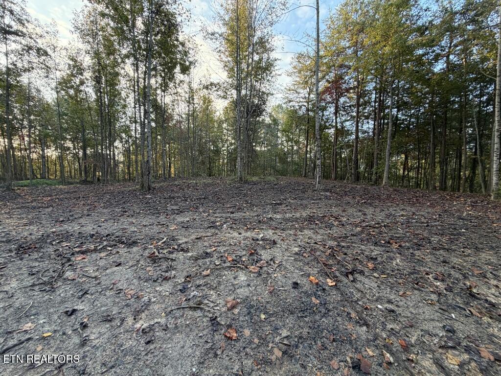0 Sled Creek Road Duff TN 37729