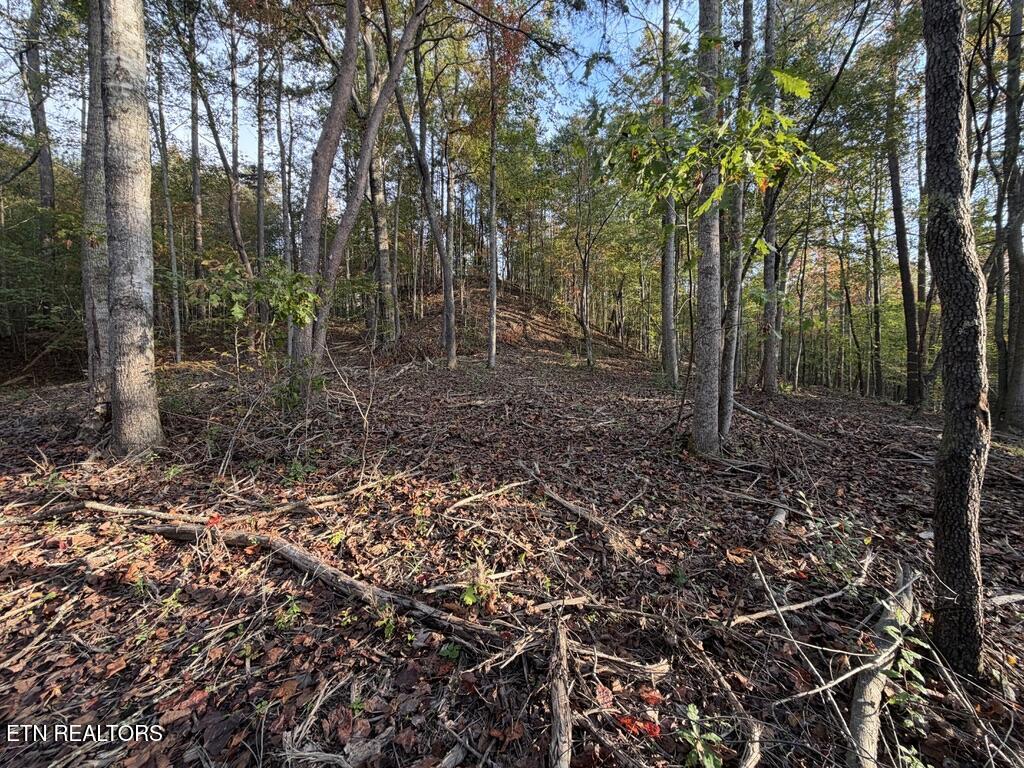 0 Sled Creek Road Duff TN 37729