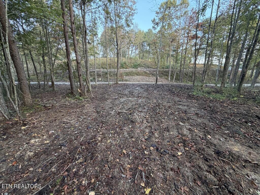 0 Sled Creek Road Duff TN 37729