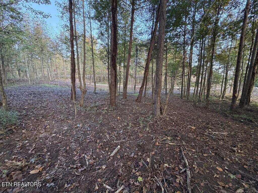 0 Sled Creek Road Duff TN 37729