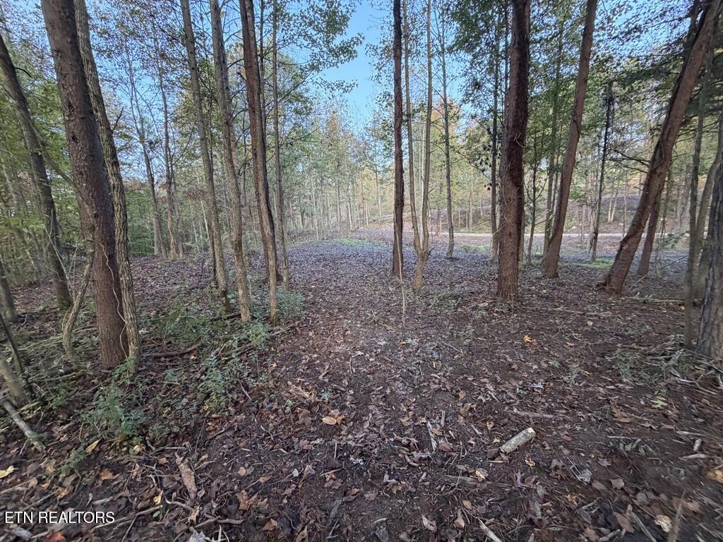 0 Sled Creek Road Duff TN 37729