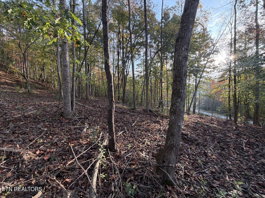 0 Sled Creek Road Duff TN 37729