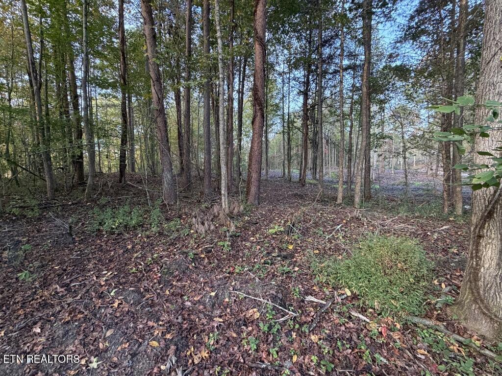 0 Sled Creek Road Duff TN 37729