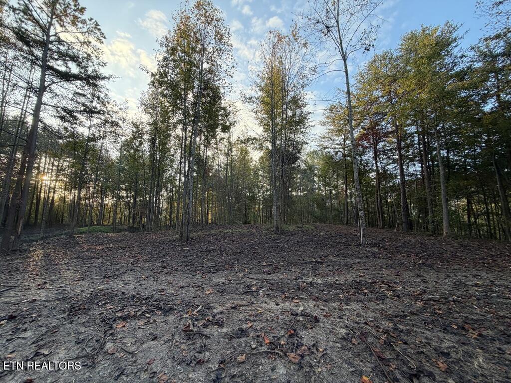 0 Sled Creek Road Duff TN 37729