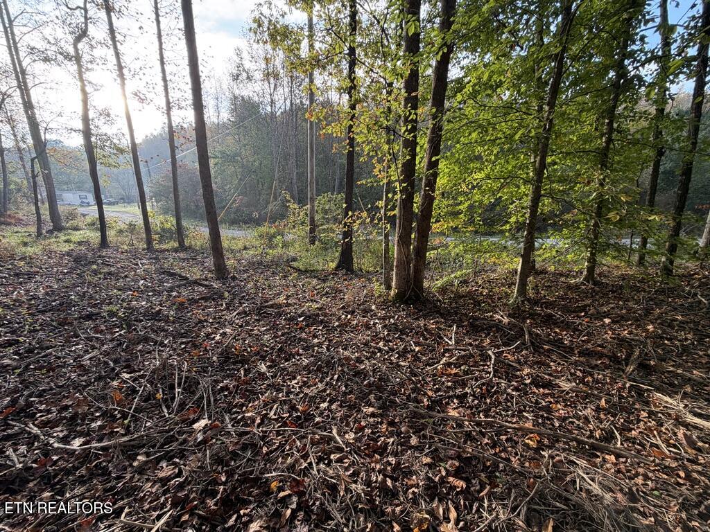 0 Sled Creek Road Duff TN 37729