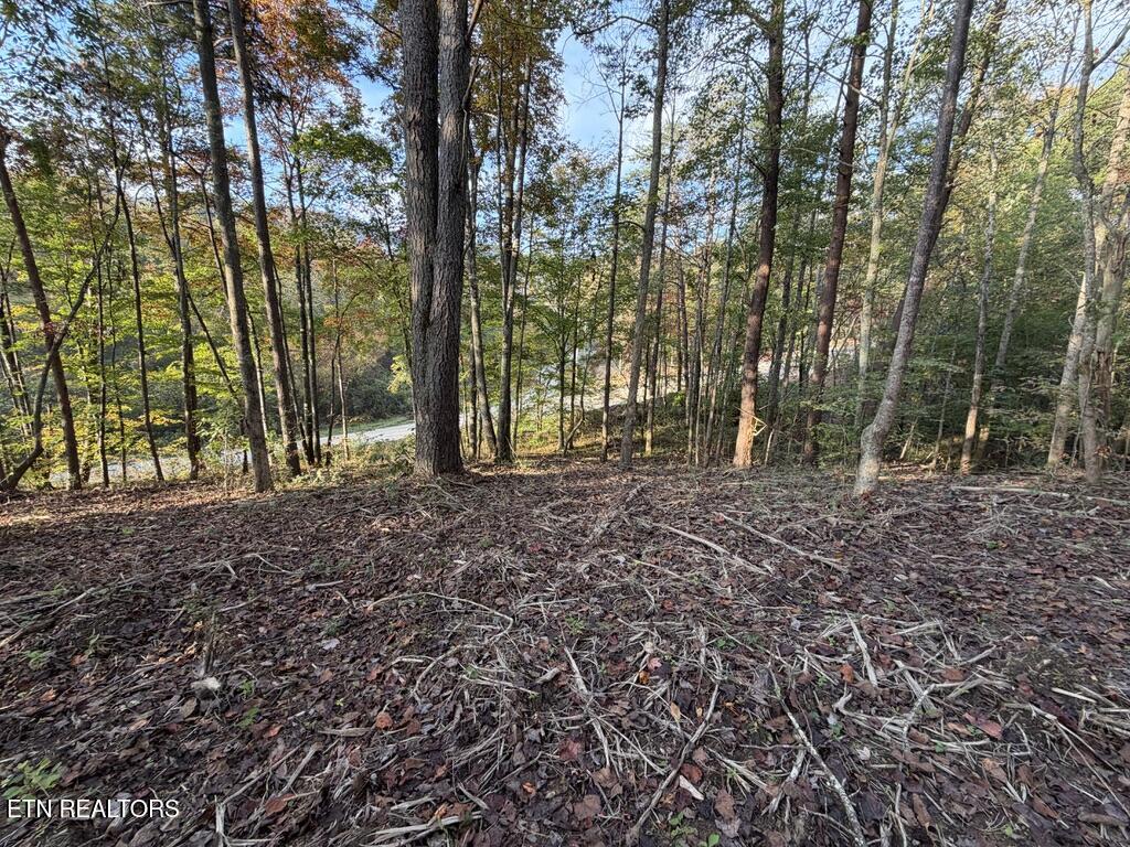 0 Sled Creek Road Duff TN 37729