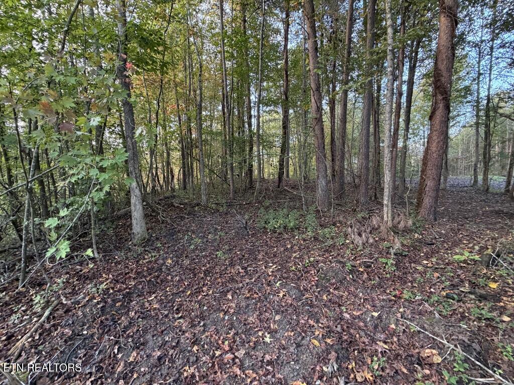 0 Sled Creek Road Duff TN 37729