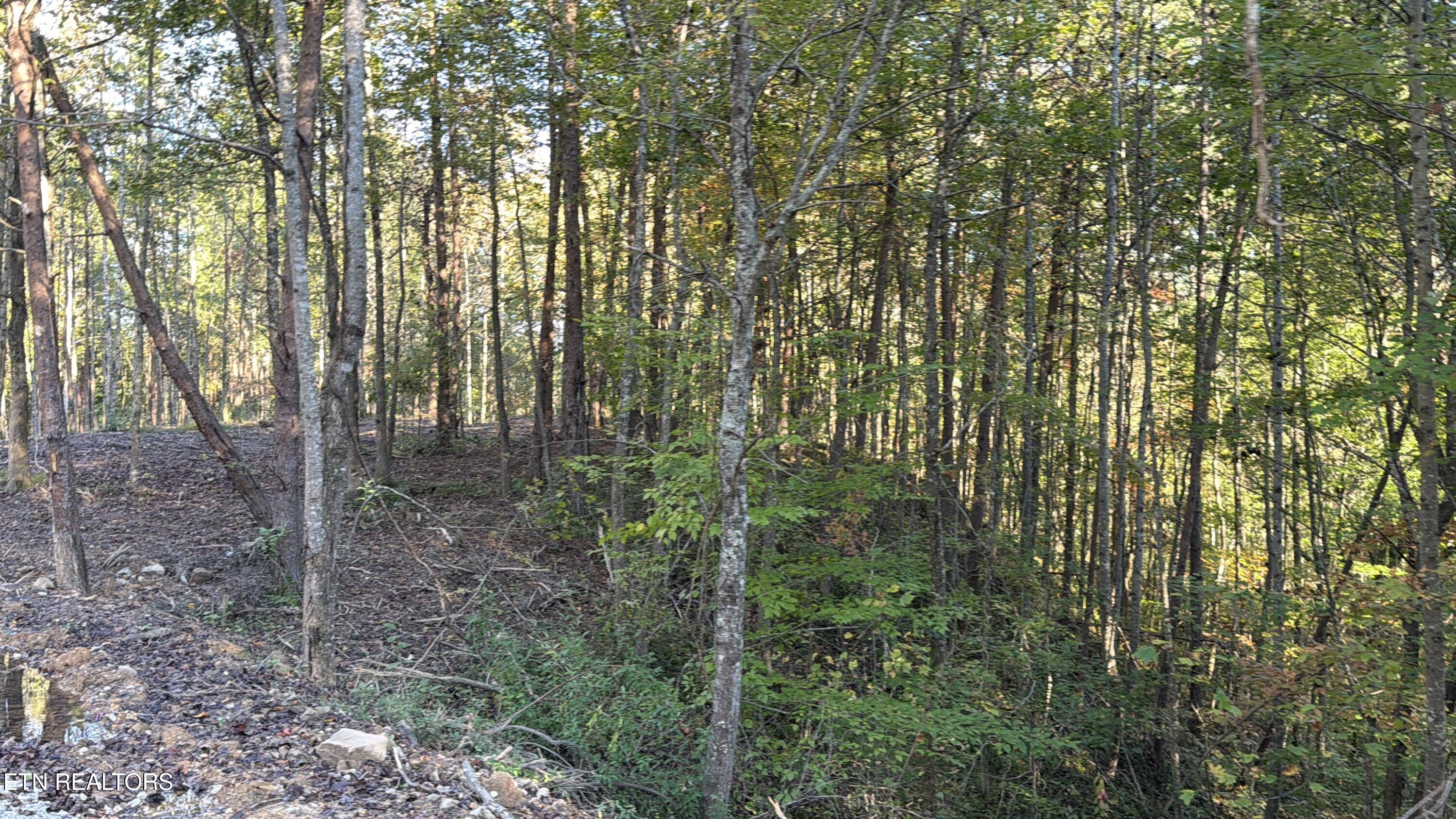 0 Sled Creek Road Duff TN 37729