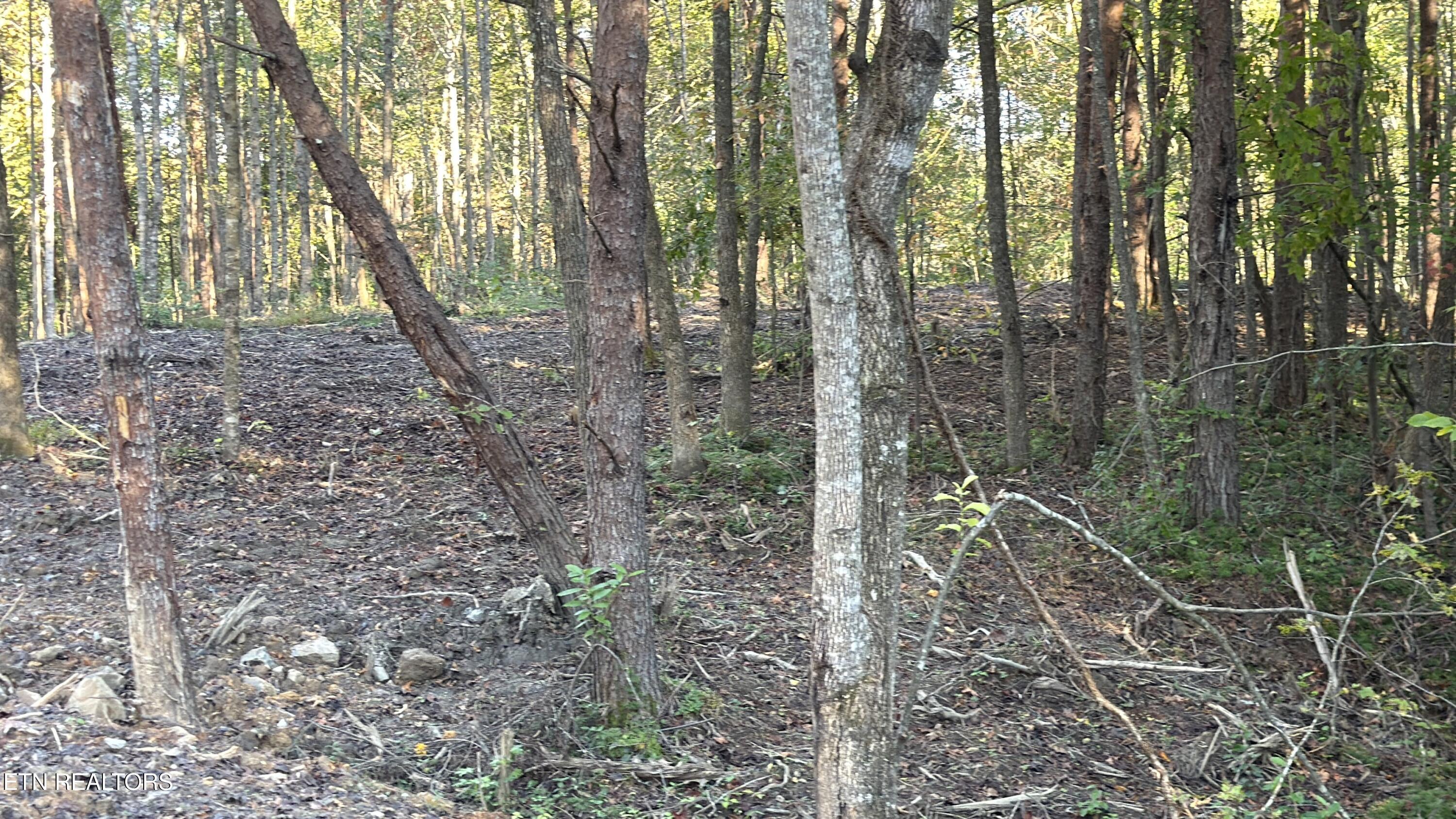 0 Sled Creek Road Duff TN 37729