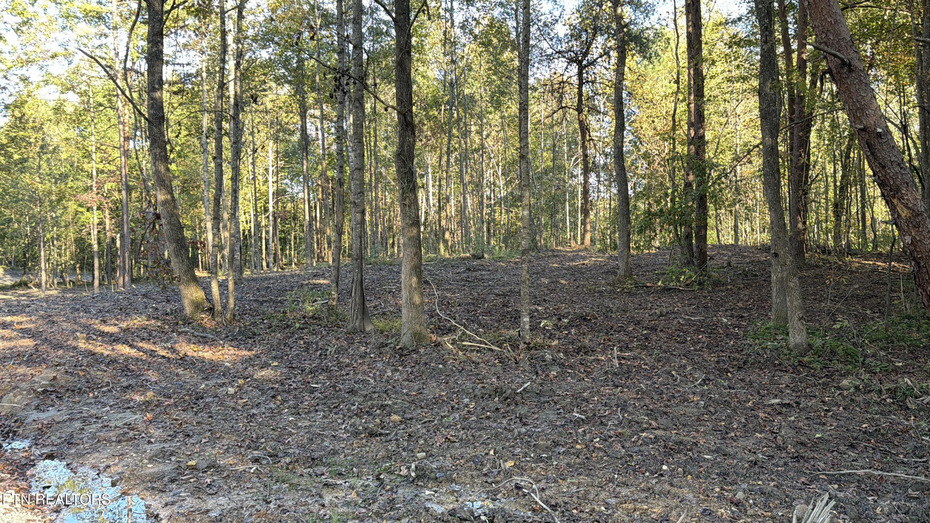 0 Sled Creek Road Duff TN 37729