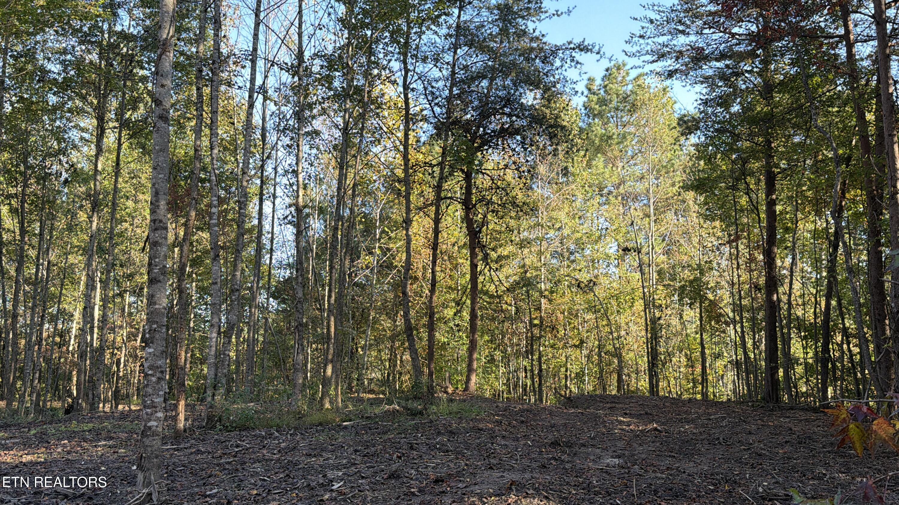 0 Sled Creek Road Duff TN 37729