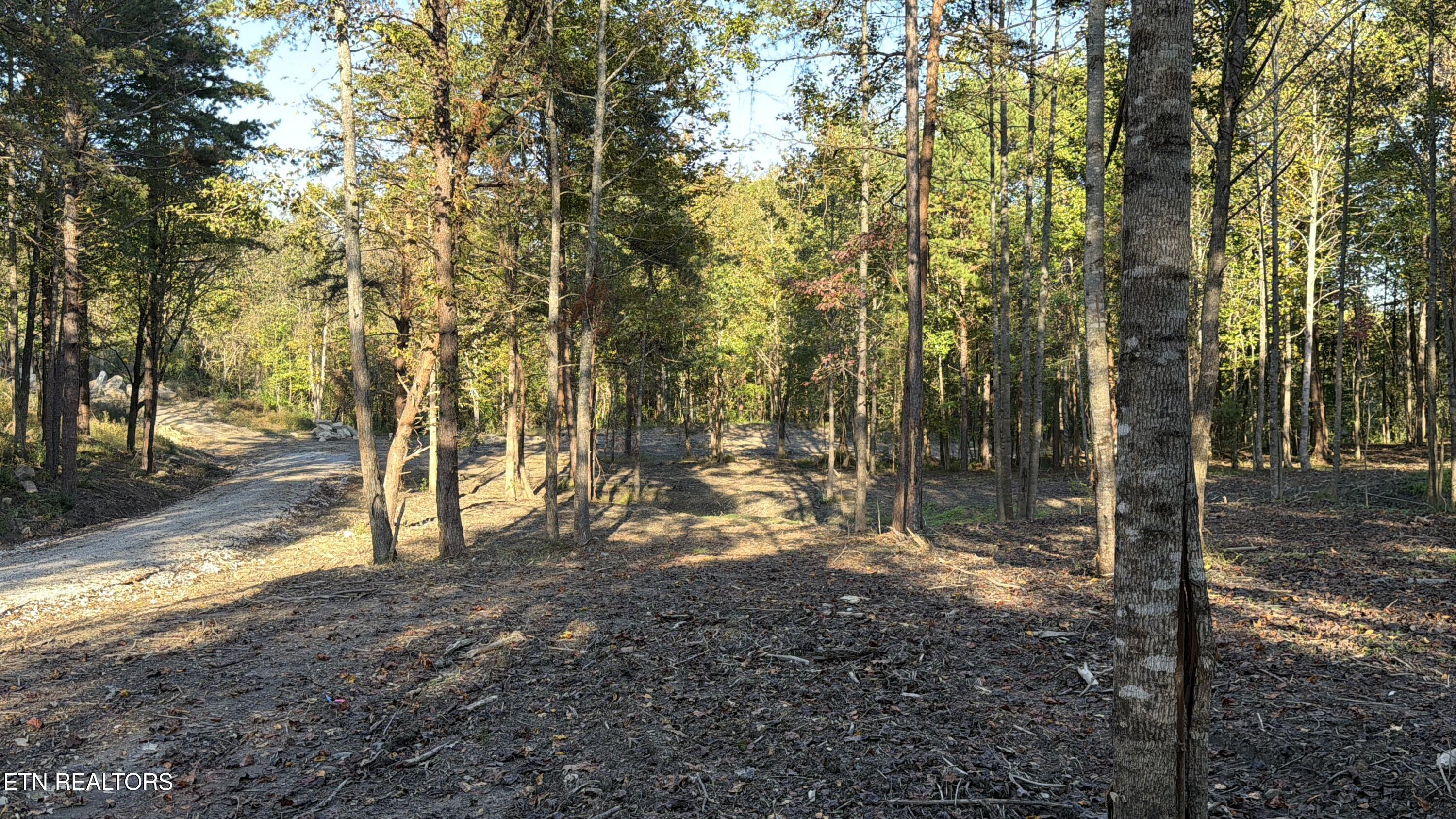 0 Sled Creek Road Duff TN 37729