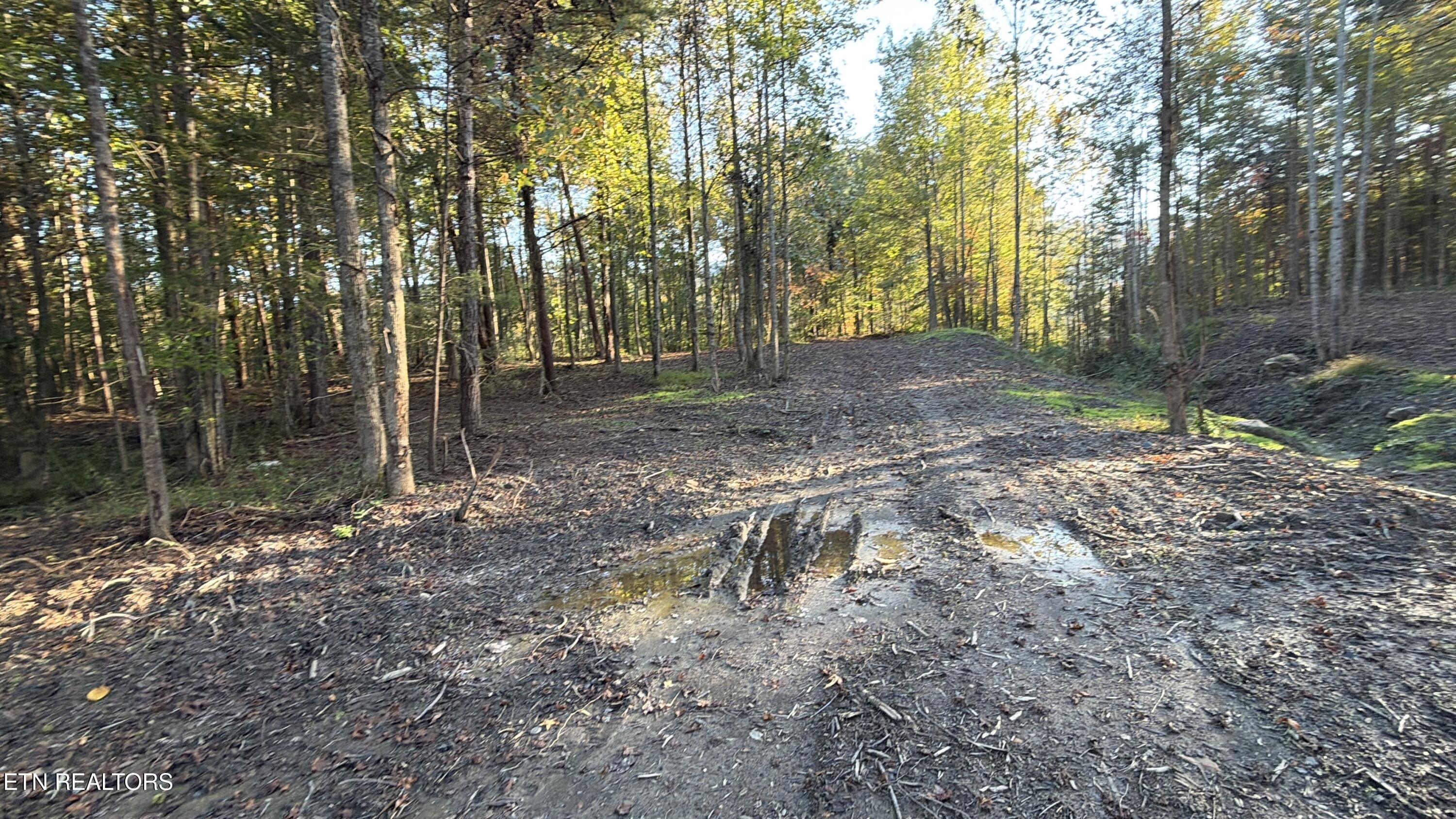 0 Sled Creek Road Duff TN 37729