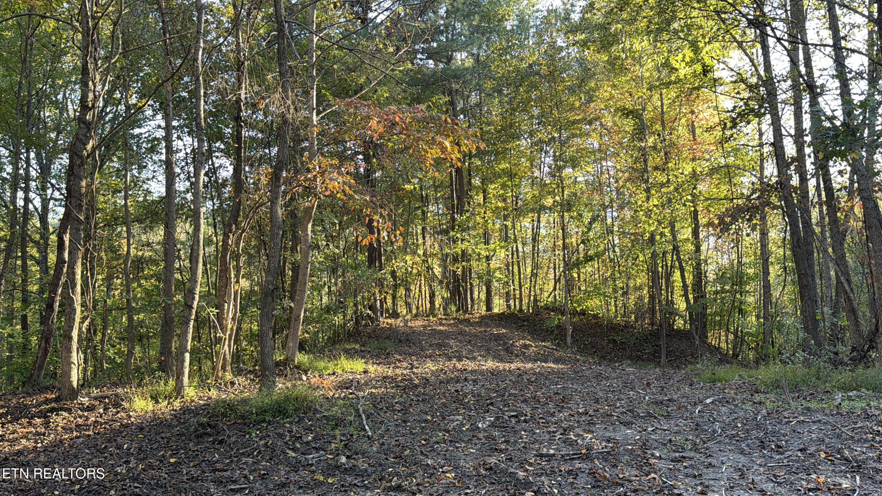 0 Sled Creek Road Duff TN 37729