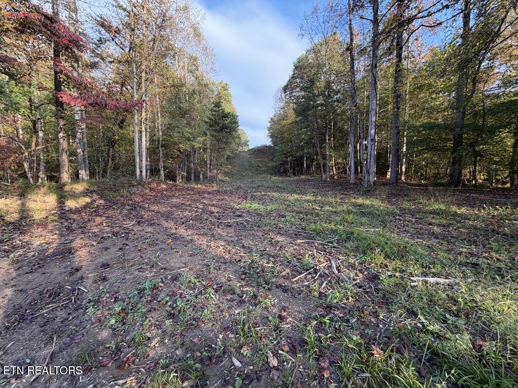 0 Sled Creek Road Duff TN 37729