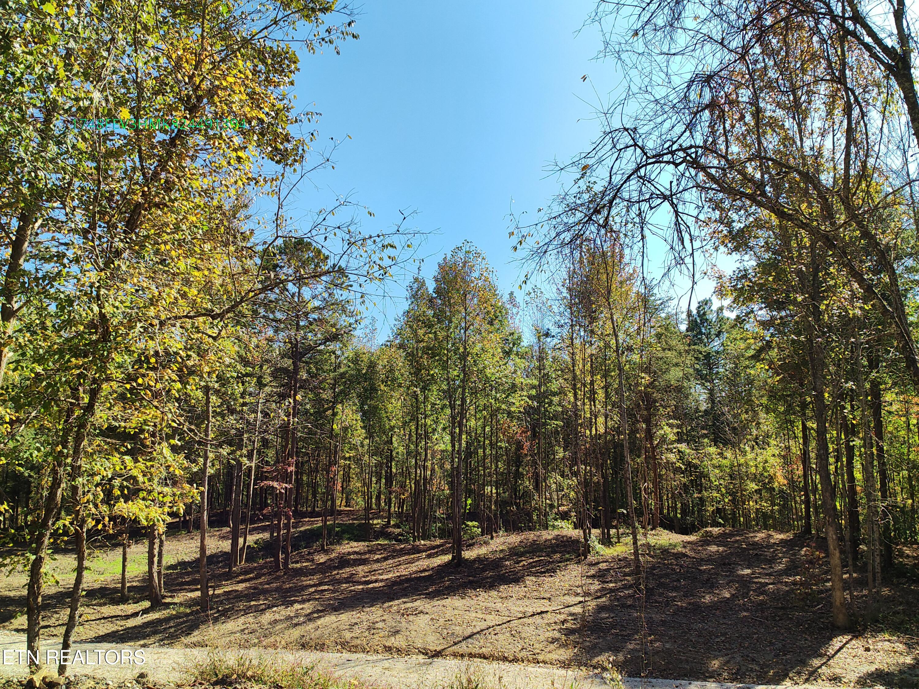 0 Sled Creek Road Duff TN 37729