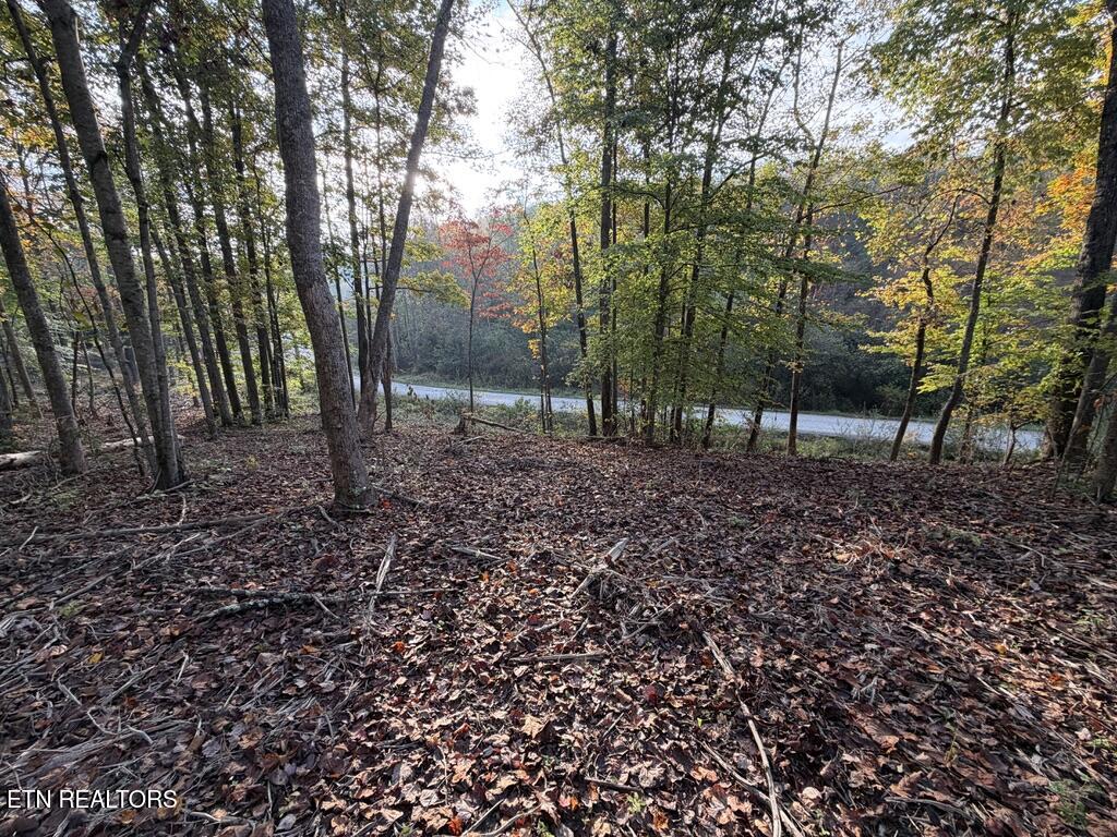 0 Sled Creek Road Duff TN 37729