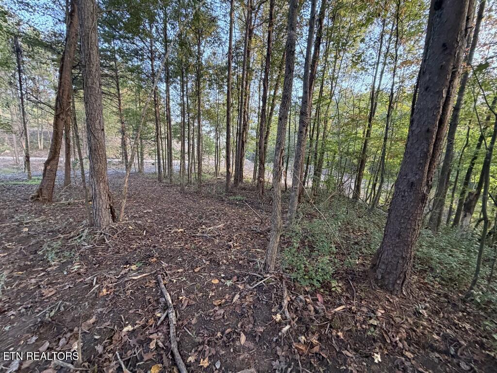0 Sled Creek Road Duff TN 37729