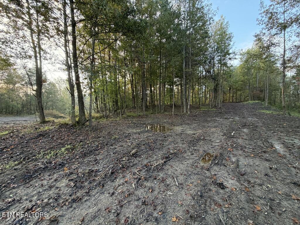 0 Sled Creek Road Duff TN 37729
