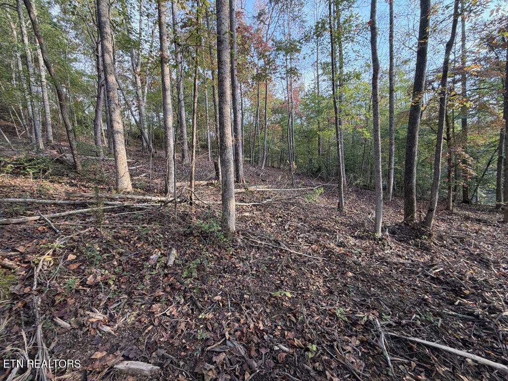 0 Sled Creek Road Duff TN 37729