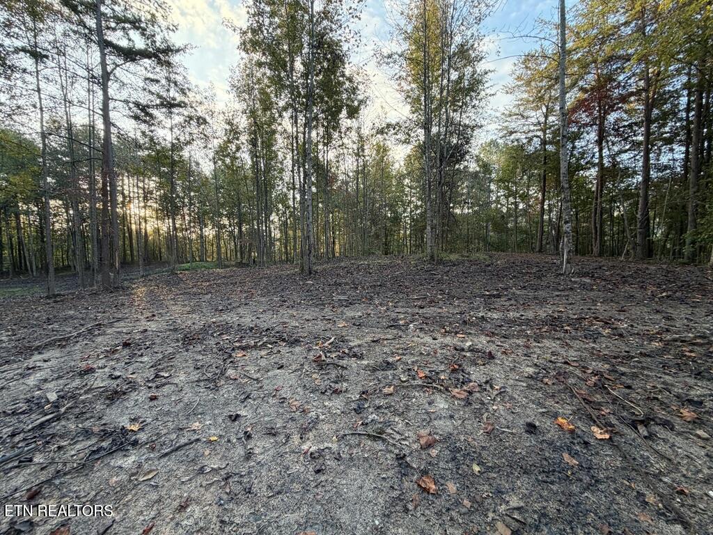 0 Sled Creek Road Duff TN 37729