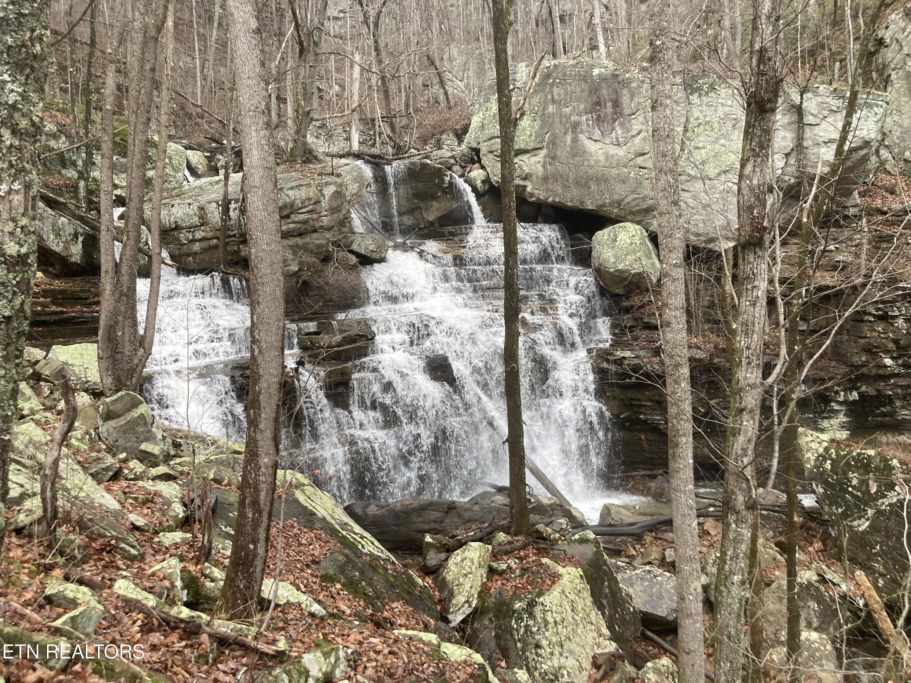 Old Spencer Road - 100 Acres Pikeville TN 37367