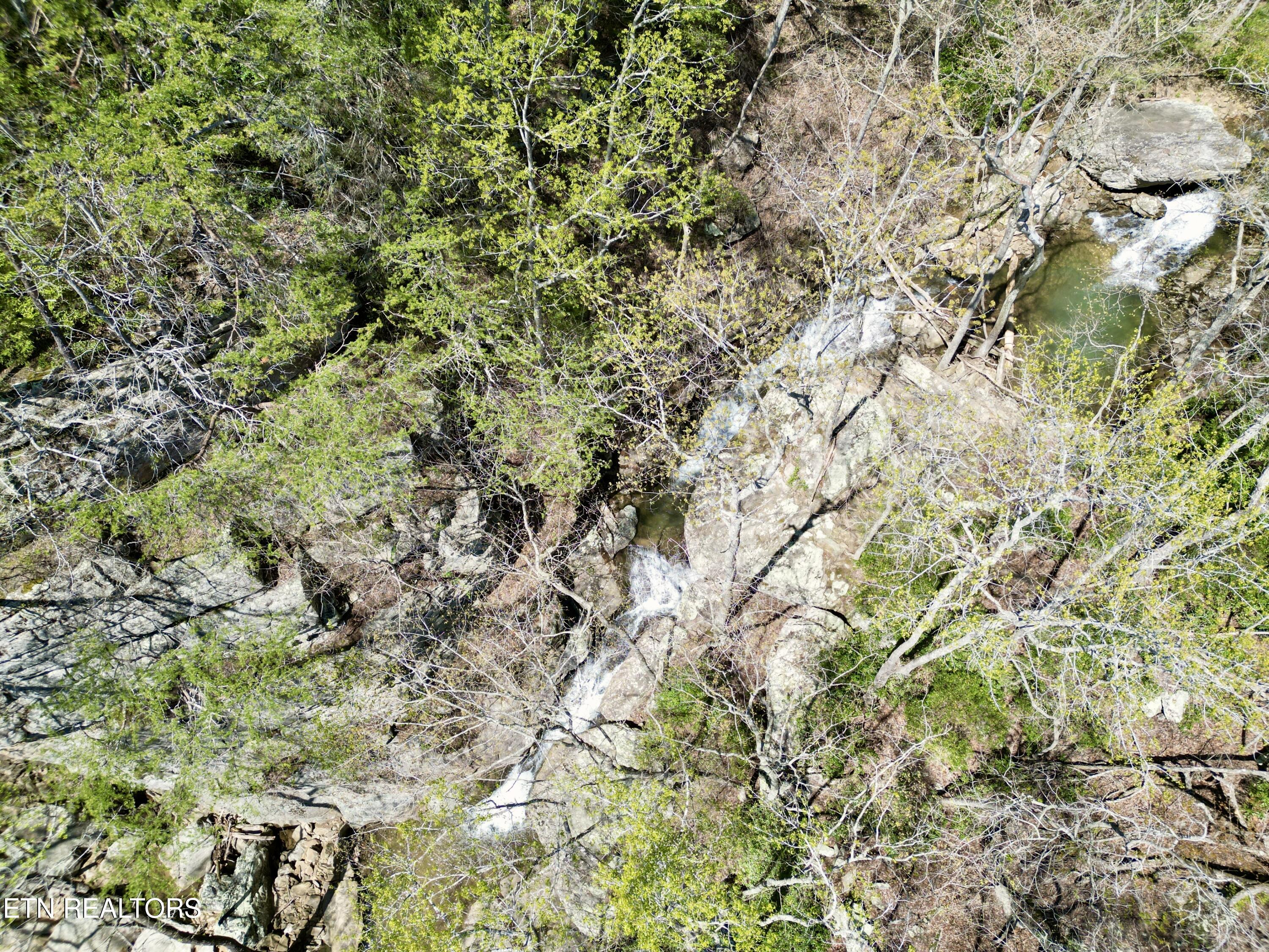 Old Spencer Road - 100 Acres Pikeville TN 37367