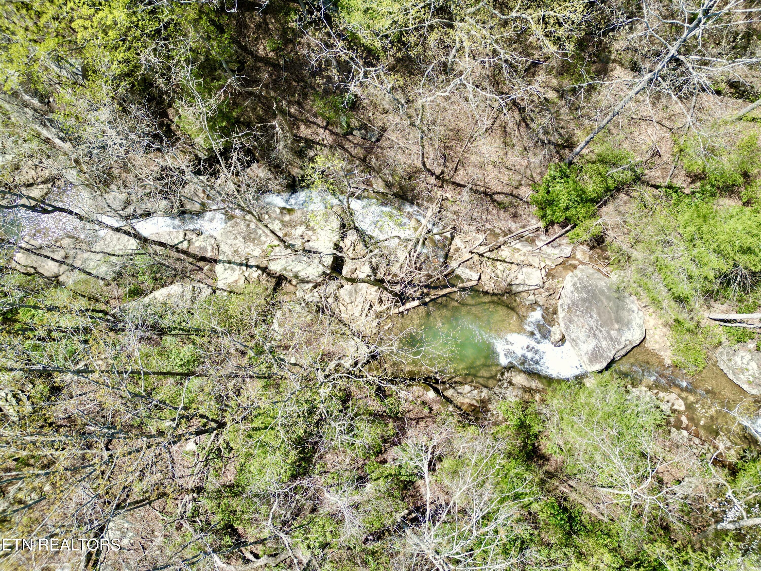 Old Spencer Road - 100 Acres Pikeville TN 37367
