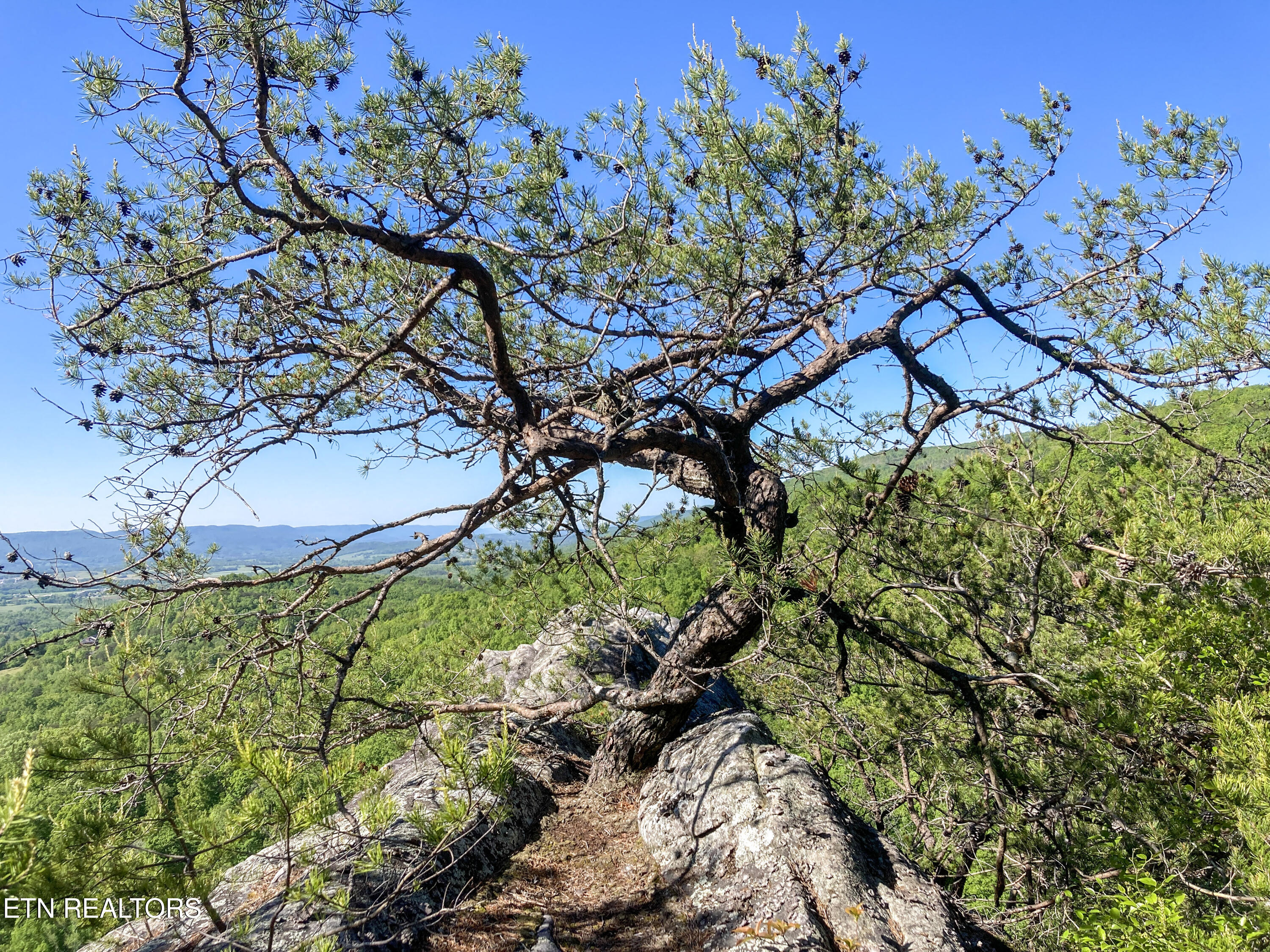 Old Spencer Road - 100 Acres Pikeville TN 37367
