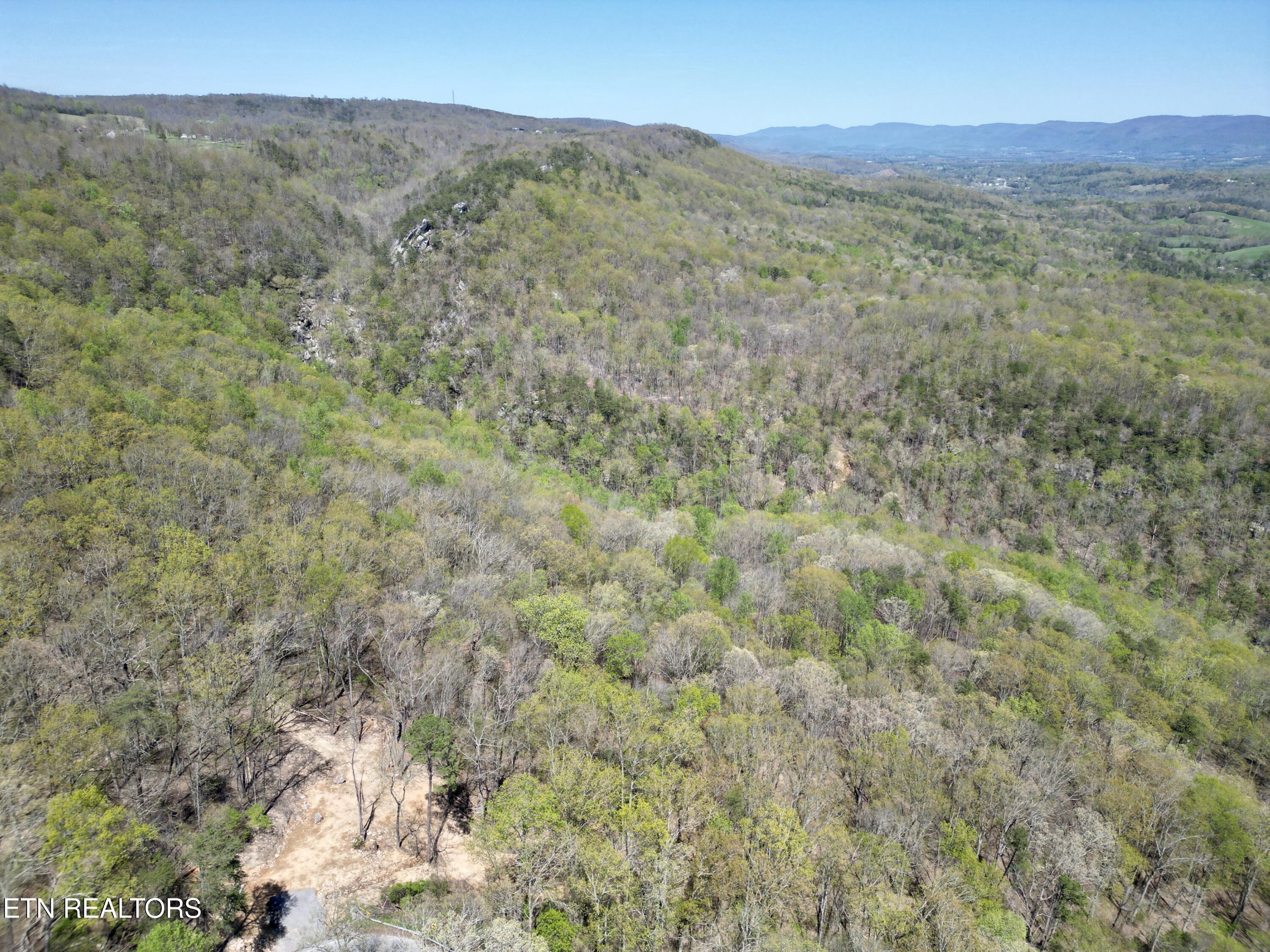 Old Spencer Road - 100 Acres Pikeville TN 37367