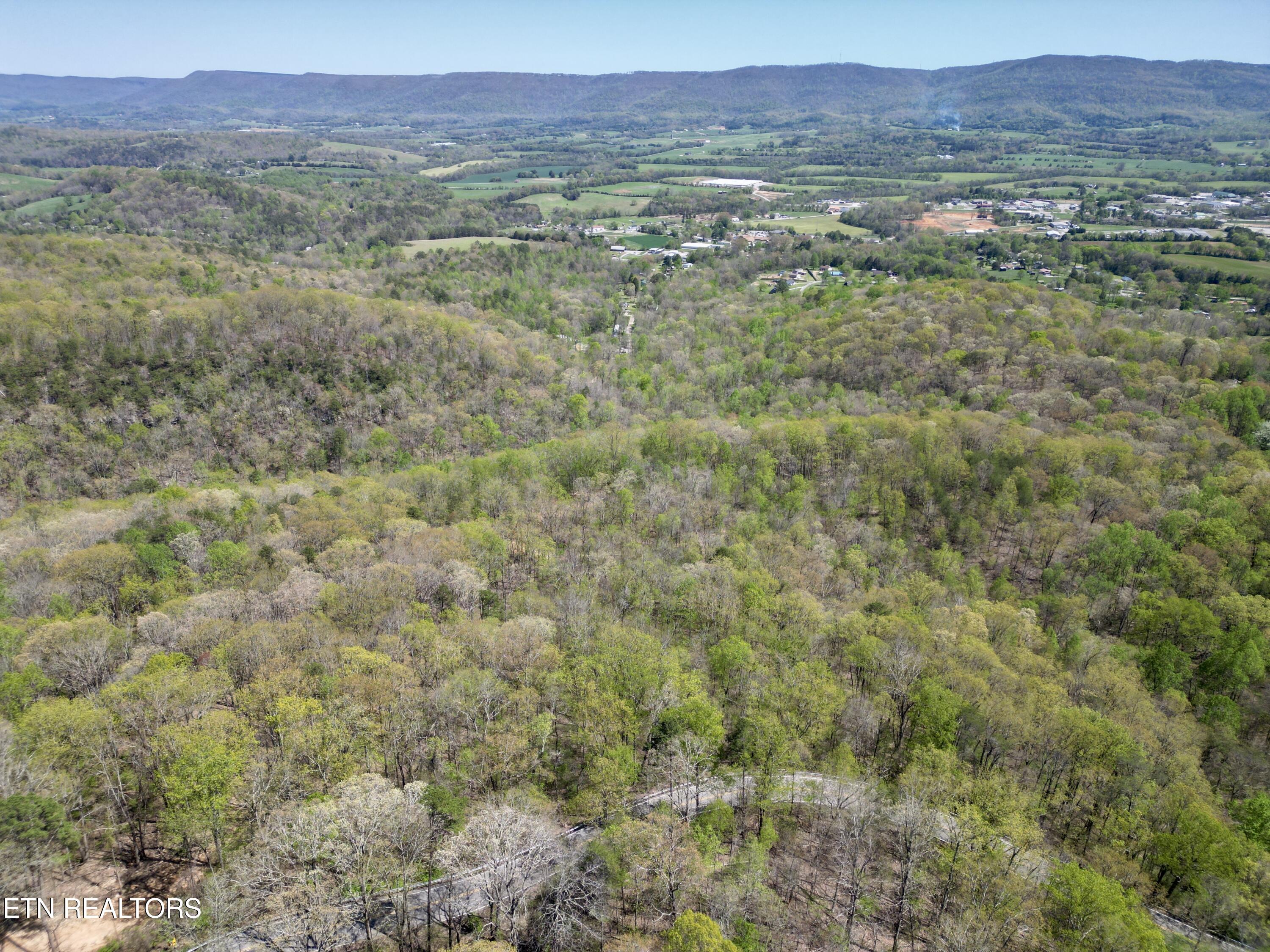 Old Spencer Road - 100 Acres Pikeville TN 37367