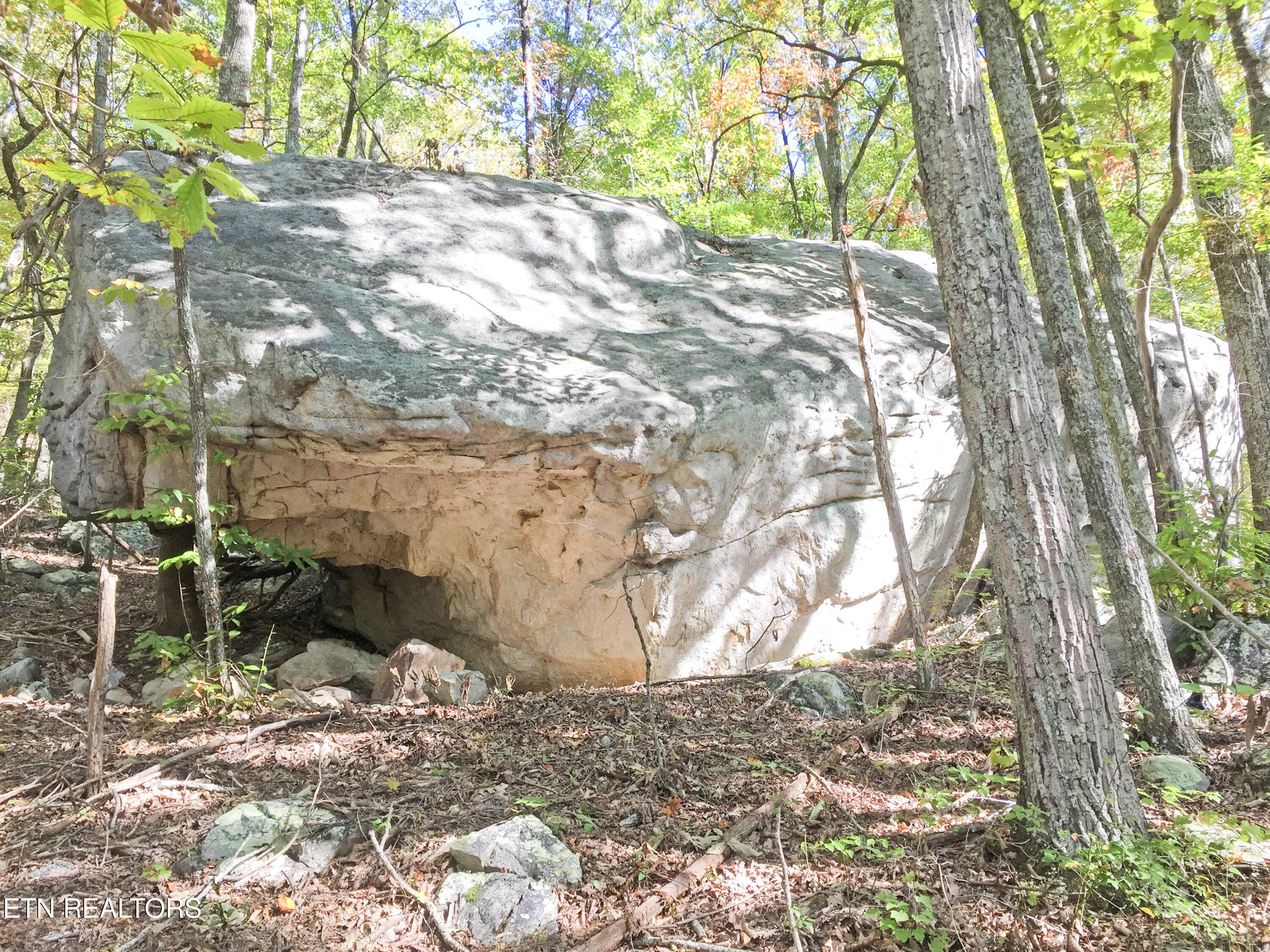Old Spencer Road - 100 Acres Pikeville TN 37367