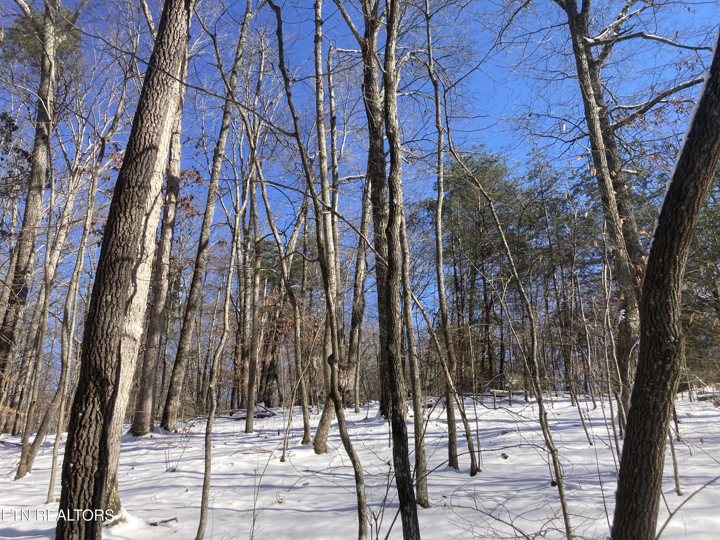 Old Spencer Road - 100 Acres Pikeville TN 37367