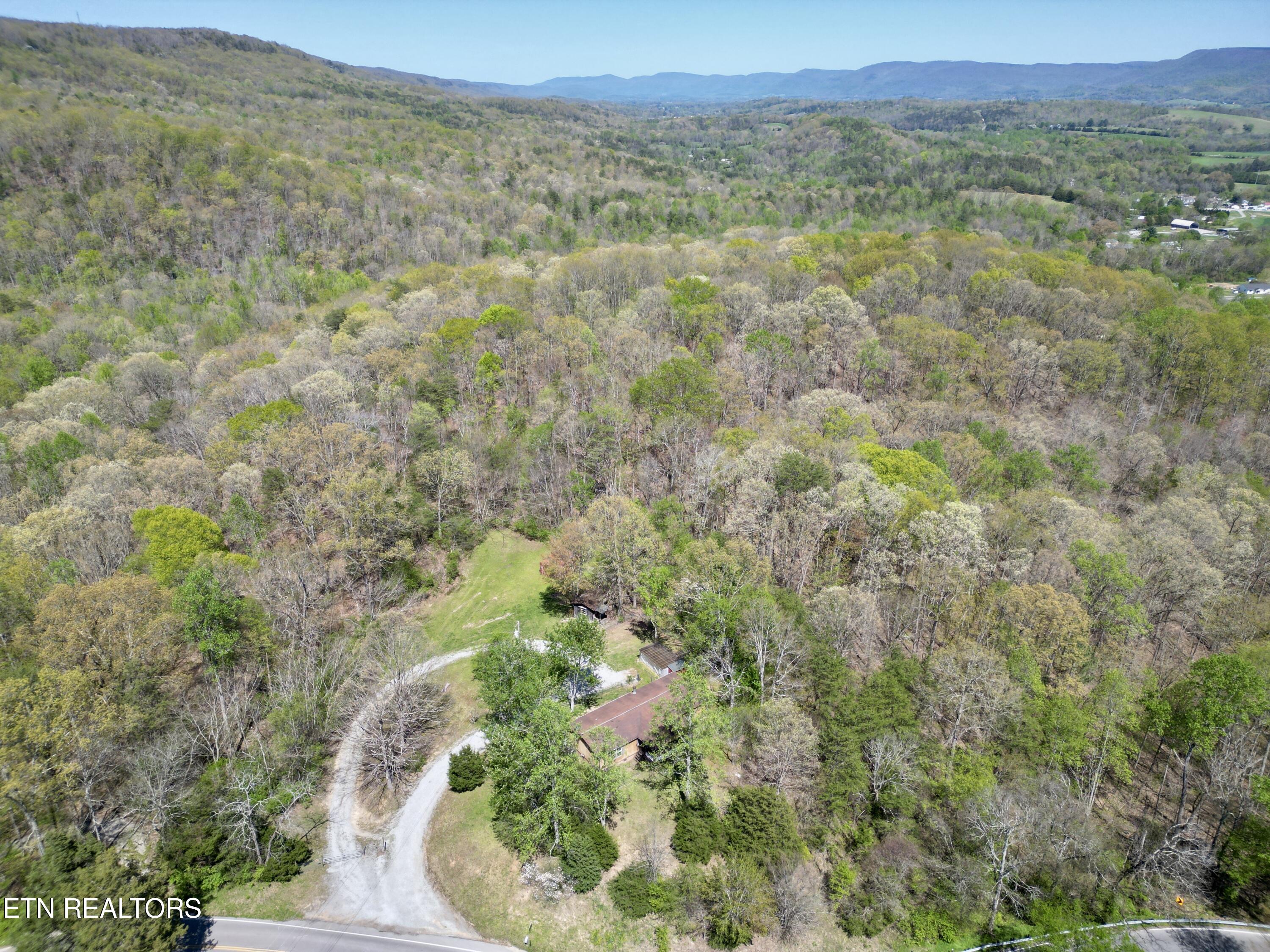 Old Spencer Road - 100 Acres Pikeville TN 37367