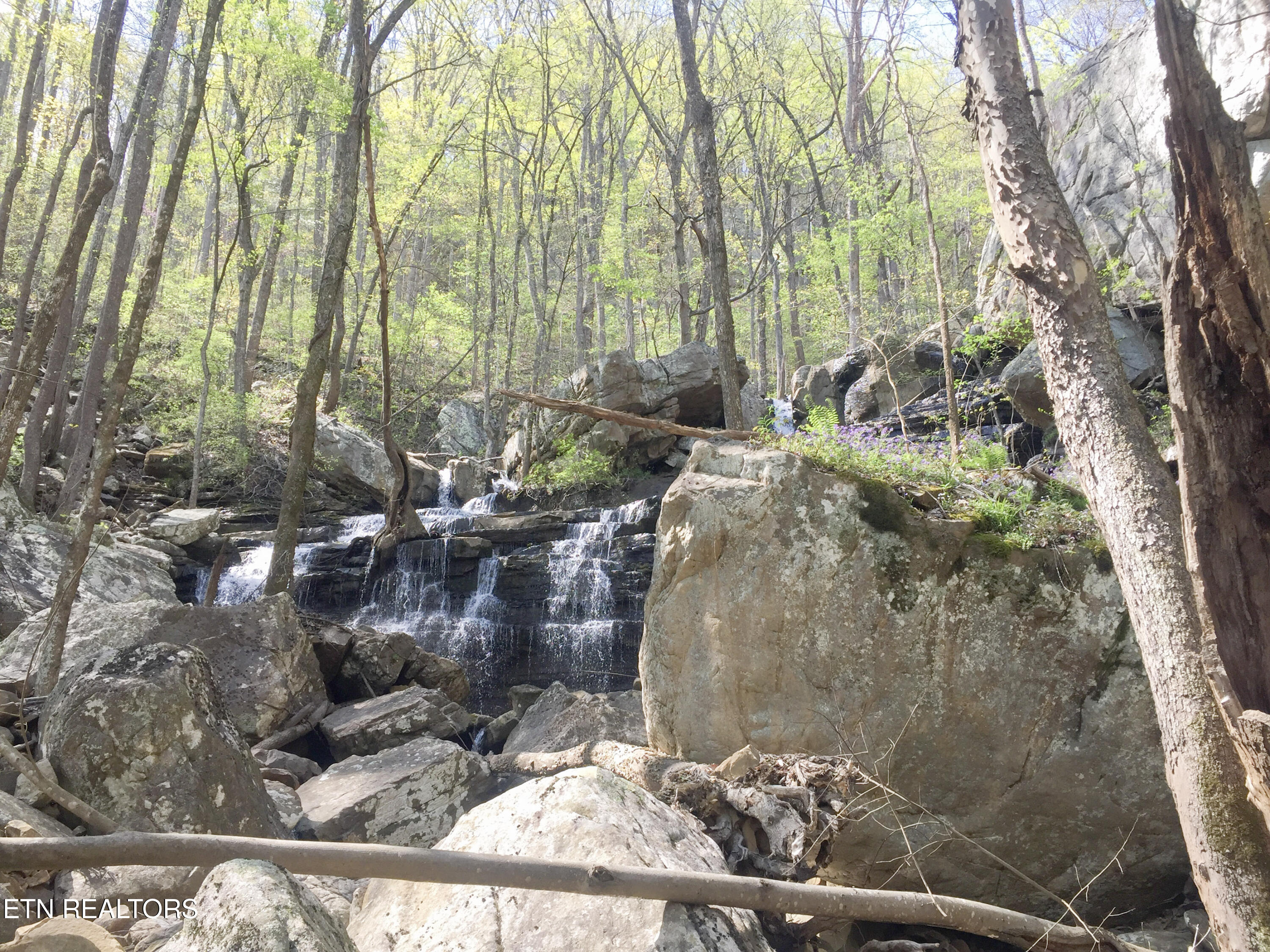 Old Spencer Road - 100 Acres Pikeville TN 37367