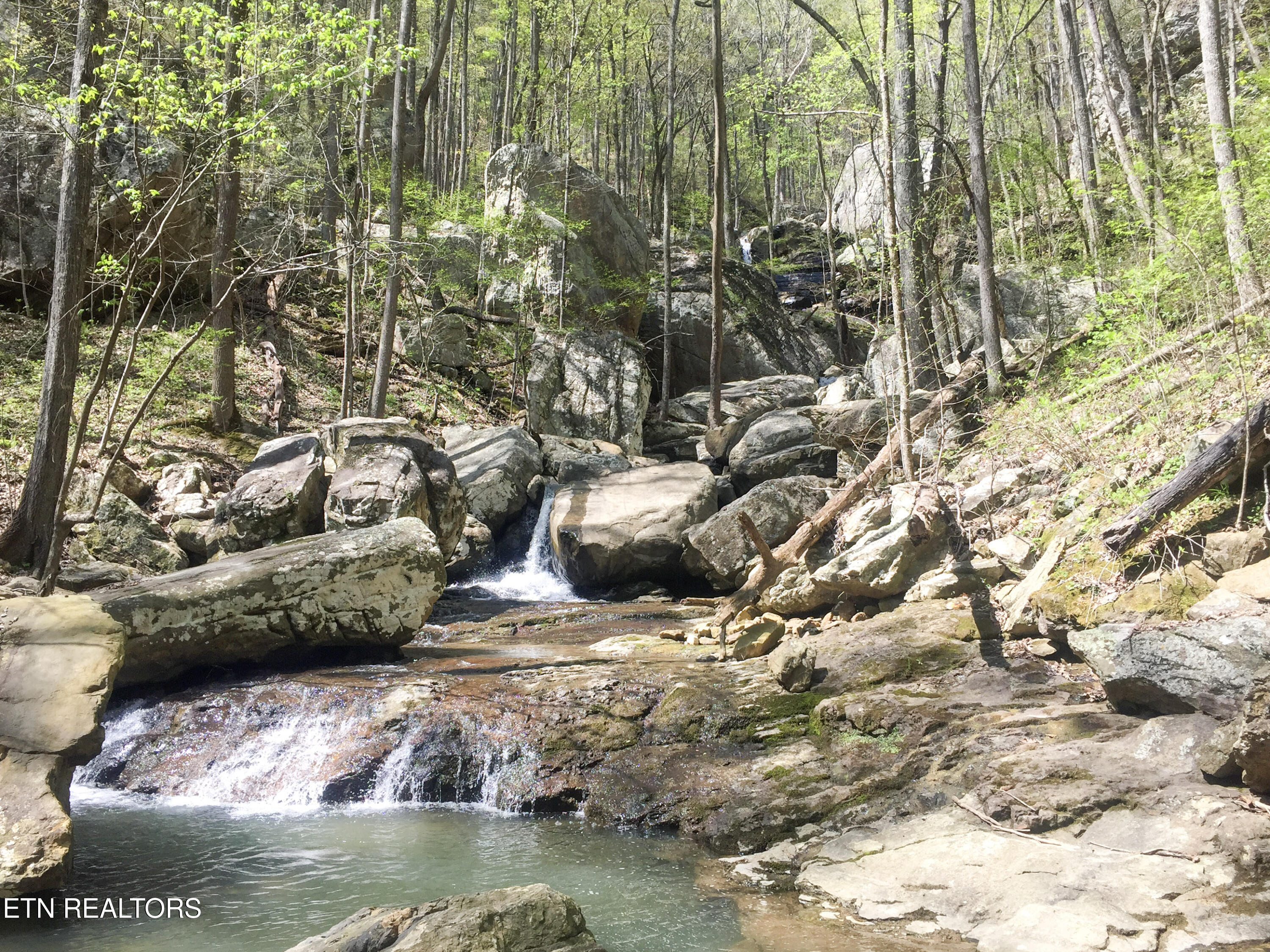 Old Spencer Road - 100 Acres Pikeville TN 37367