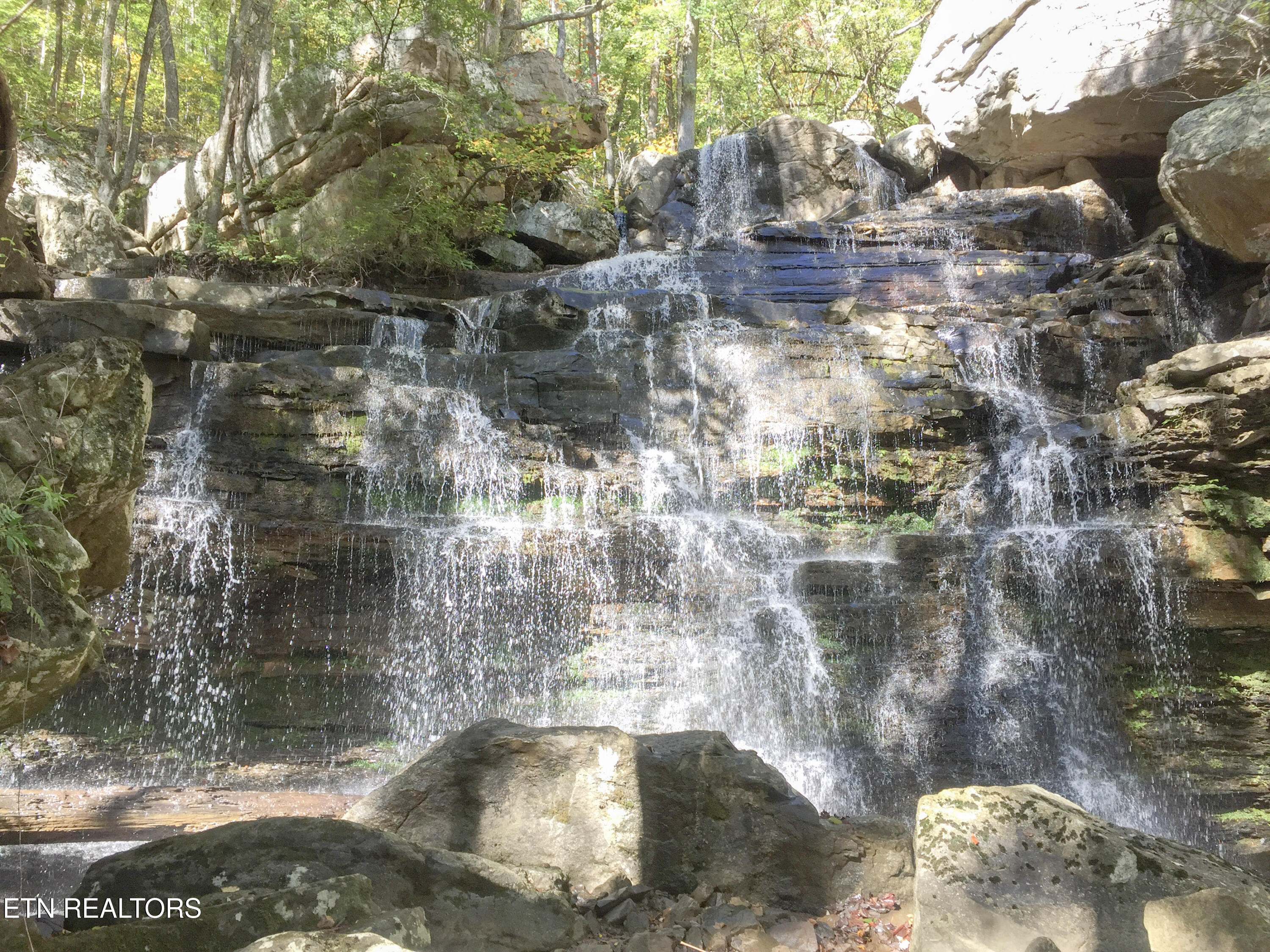 Old Spencer Road - 100 Acres Pikeville TN 37367