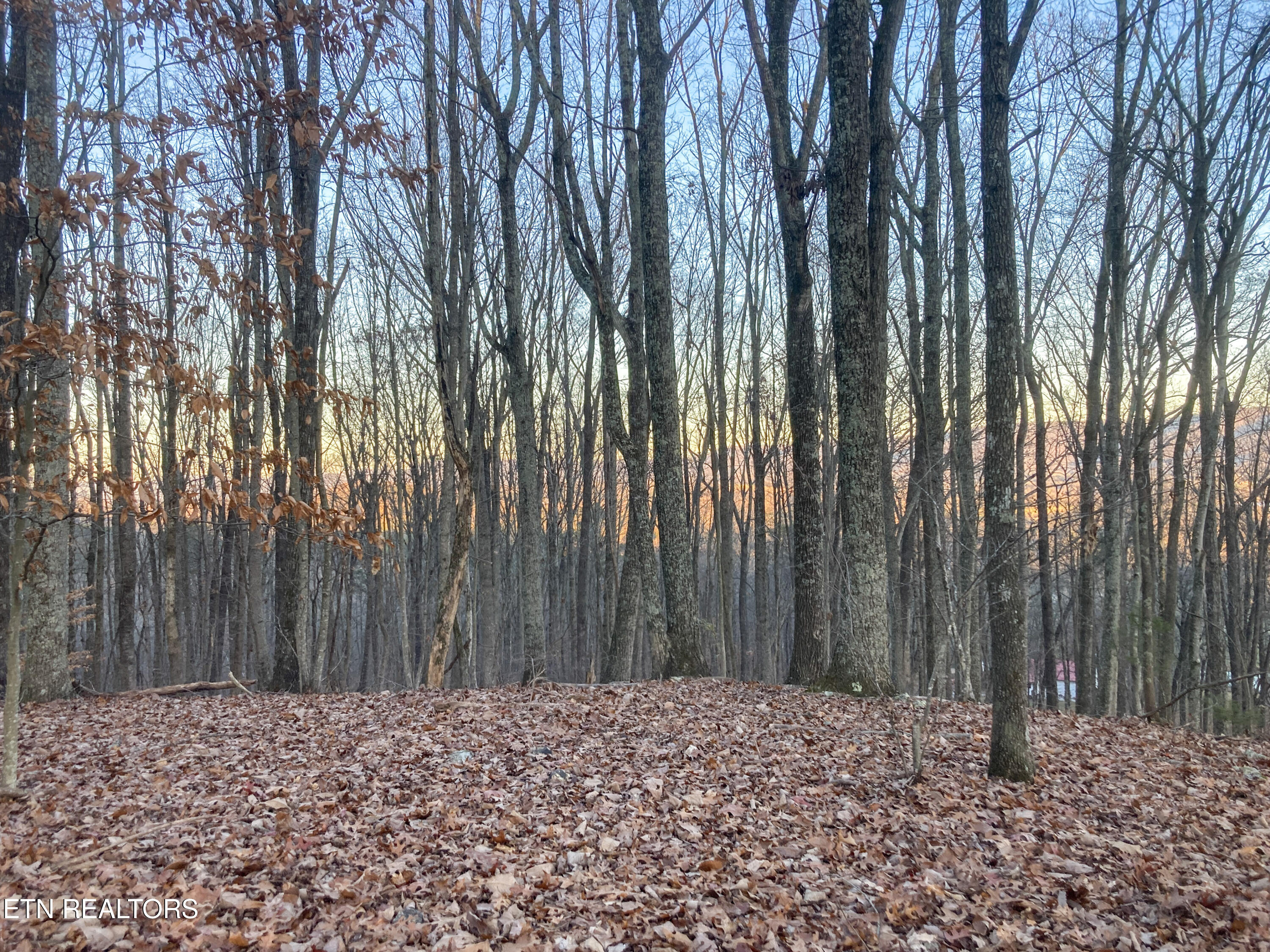 Old Spencer Road - 100 Acres Pikeville TN 37367